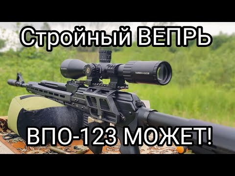 Видео: Комплекс на базе ВЕПРЯ который меня устраивает) ВПО -123 и Vector Optics !