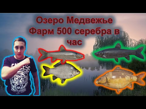 Видео: Медвежка-ФАРМ серебра 500 серы в час!