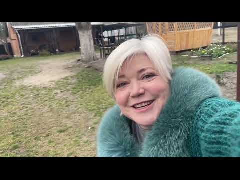 Видео: А грибы то уже не те😢! Кто напугал Светлану в лесу,кто хрюкал? Вот это настроение,едет на корпоратив