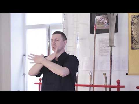 Видео: Комплекс Цигун - 5 зверей (Форма 4 из 5 - Дракон)