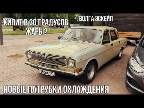 Видео: Газ 2410/подкинули новые патрубки/колесные гайки эскейп?/20тыщ за антифриз/