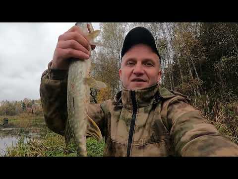 Видео: ЩУЧЬЯ ПОГОДА🌧️ и ЩУКА ТО ТУТ🎣 ТО ТАМ!!! Какую ЗАБЕРЁМ с ВОДОЁМА!?