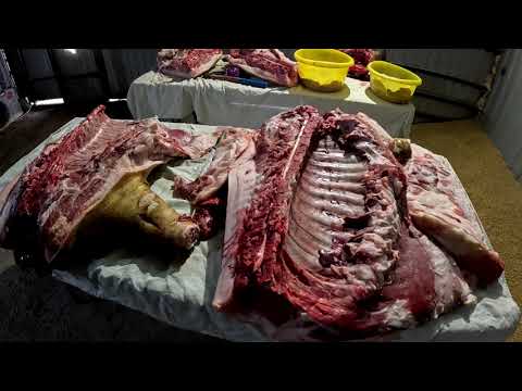 Видео: SOS  куда девать свиней.  Продаю  с салом по 270р.