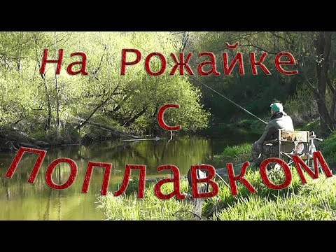 Видео: Рыбалка с Пашком, На Рожайке с Поплавком