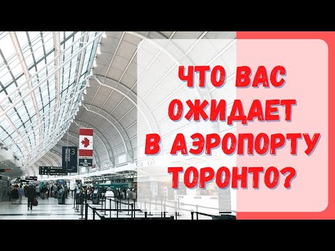 Видео: Как я встречал родственников в аэропорту Торонто. #CUAET #Канада #визавканаду