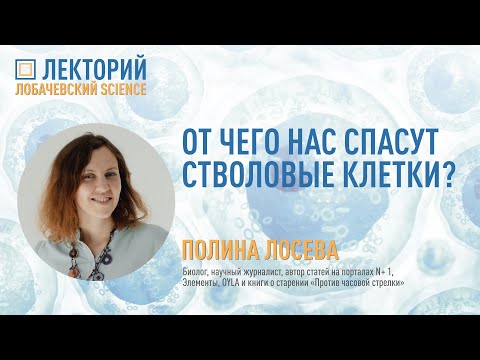 Видео: Лекция Полины Лосевой «От чего нас спасут стволовые клетки?»