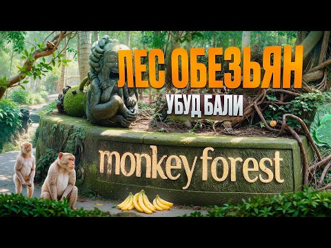 Видео: Экскурсия Лес обезьян в Убуде. Остров Бали. Индонезия. Обзор Павла Георгиева.