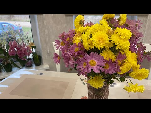 Видео: Съездили по делам/ домашние дела делаются 😉👍