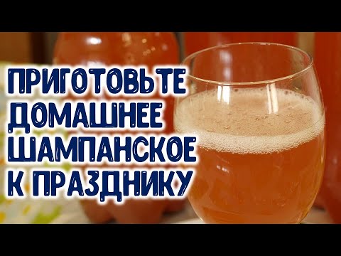 Видео: Приготовьте домашнее шампанское вино к празднику. Технология приготовления домашнего шампанского