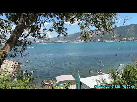 Видео: ГЕЛЕНДЖИК 2024. НАША ИСТОРИЯ ПЕРЕЕЗДА. НА ПМЖ В ГЕЛЕНДЖИК. 5 ЛЕТ СПУСТЯ