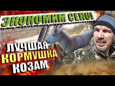 Видео: Лучшая кормушка для коз. \\ Минимальная потеря сена. \\ Делюсь опытом.