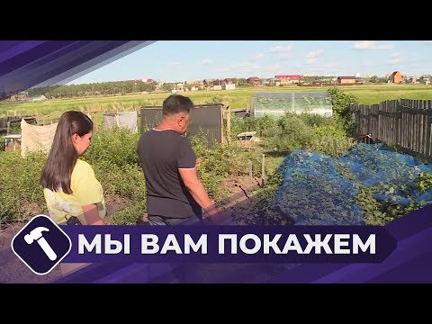 Видео: Мы вам покажем: Дачный участок