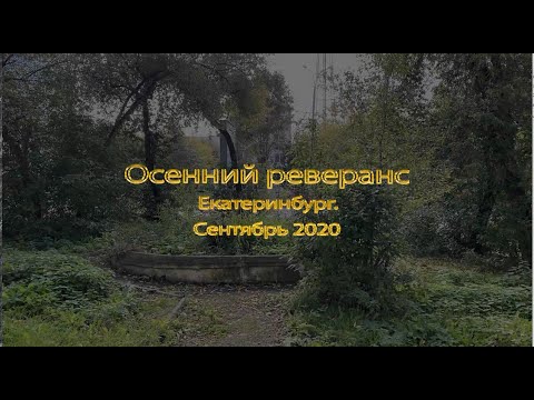 Видео: Осенний реверанс