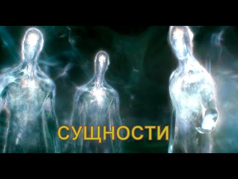 Видео: АНОМАЛИИ СУЩНОСТИ