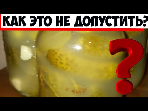 Видео: Ошибки при консервации огурцов, из-за которых белеет рассол в банках!