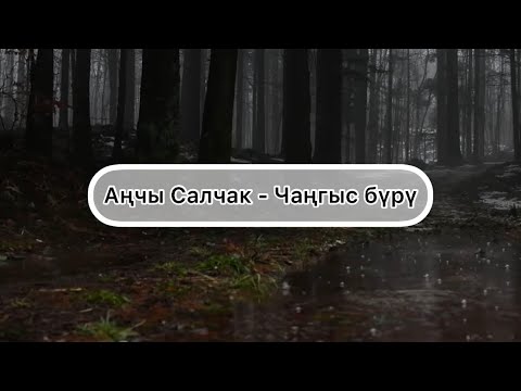 Видео: [Тыва караоке] Анчы Салчак - Чангыс буру