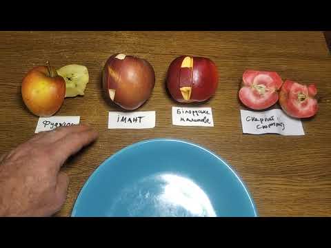 Видео: Яблука: Фуджіон; Скарлет Сюрпрайз; Імант; Білоруське Малинове.