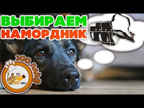 Видео: Подбираем намордник для собаки. Модель Овчарка. Как подобрать правильный намордник.