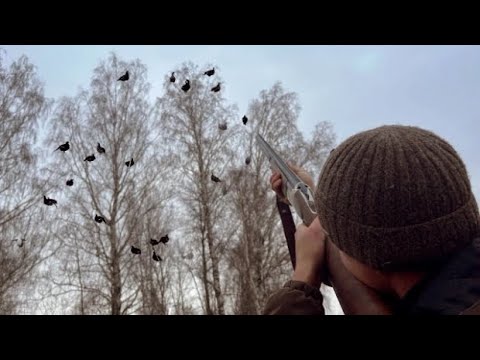 Видео: Подкараулил ЧЕРНЫХ Косачей. Стреляю на Лёжке Зайца!