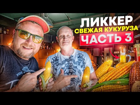 Видео: Лучший ликкер на свежей кукурузе