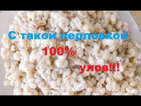 Видео: Супер белая перловка.Рыба без ума от неё.