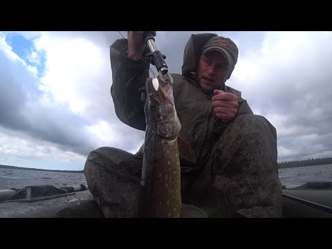 Видео: Ловля щуки на вертушки. Александровское озеро.