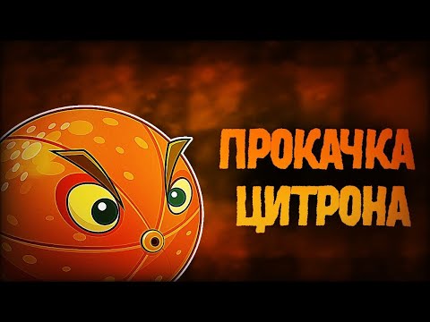 Видео: Маленькая, но классная прокачка цитрона!