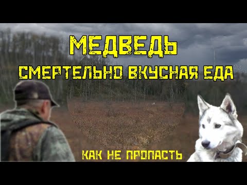 Видео: Медведь. Смертельно вкусная еда. Как не пропасть