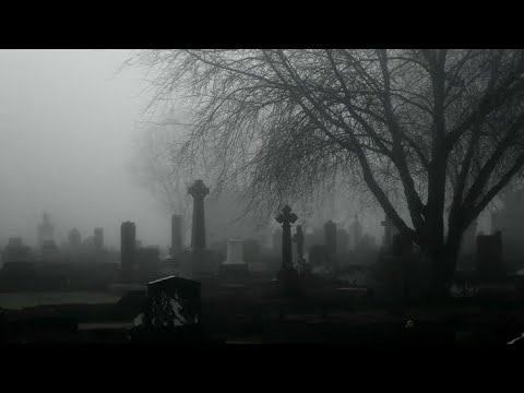 Видео: плейлист чтобы убежать от реальности