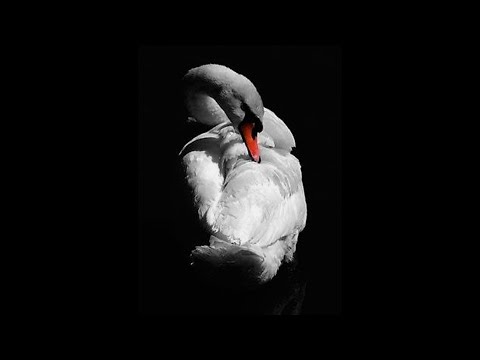 Видео: Время повседневности и время событий. Александр Филиппов