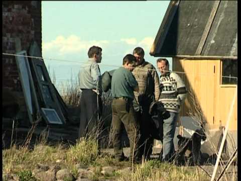 Видео: Остров , который спас Ленинград.VOB