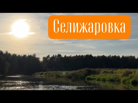 Видео: Селижаровка