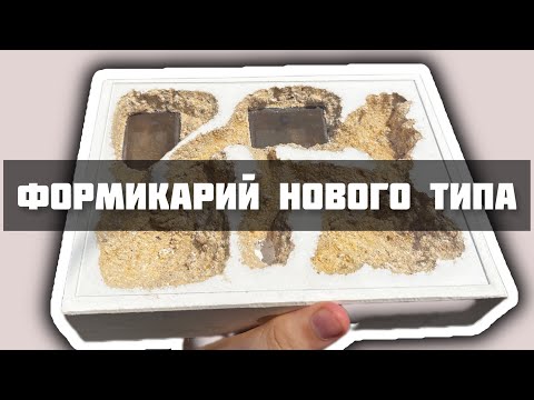 Видео: Формикарий нового поколения . Муравьиная ферма нового типа