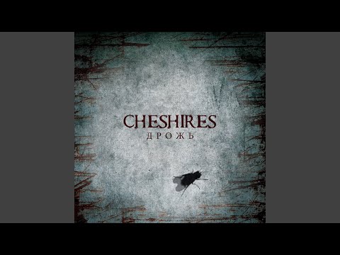 Видео: Света нет