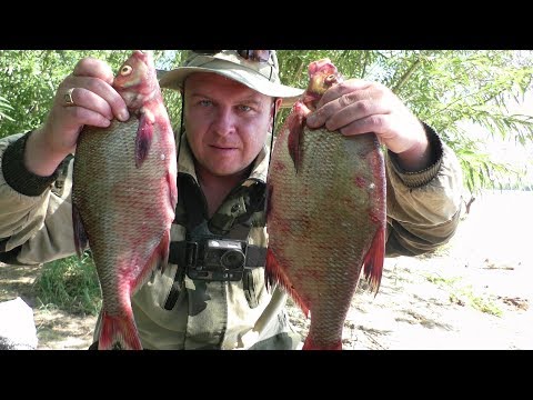 Видео: Рыбалка. Новая НАЖИВКА на ЛЕЩА. Ловля леща на Кольцо. Рыбалка на Волге 2018