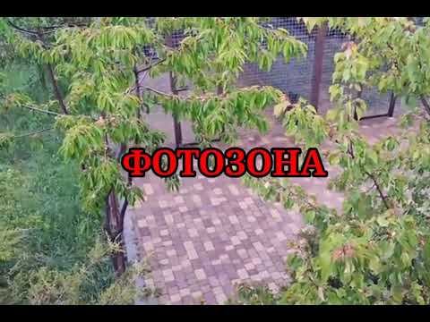 Видео: Серый кардинал Тайгана.