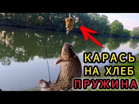 Видео: ЛОВЛЯ Карася НА Днестре. Борьба с  комарами!