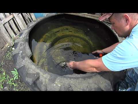 Видео: Тест подводного пинпоинтера SHRXY