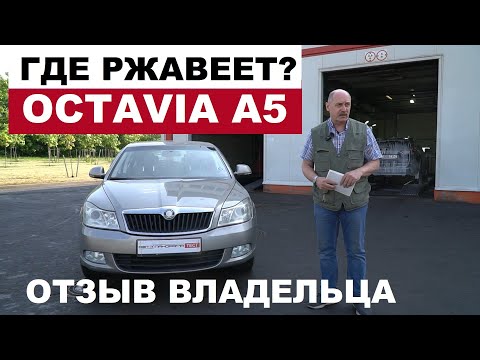 Видео: Где ржавеет? Skoda Octavia A5 отзыв реального владельца 2010 год, 288.000 км обзор авто