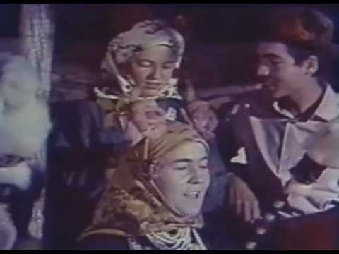 Видео: Док. фильм 1968 года про с. Огородное (из архива)