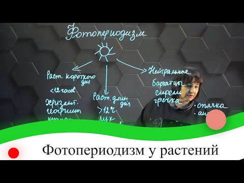 Видео: Фотопериодизм у растений. 7 класс.