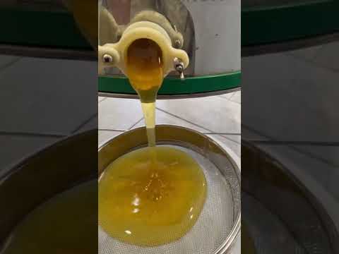 Видео: 4 августа 2022 г.