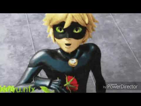 Видео: Леди баг и супер кот/ клип " Миллион Алых Роз