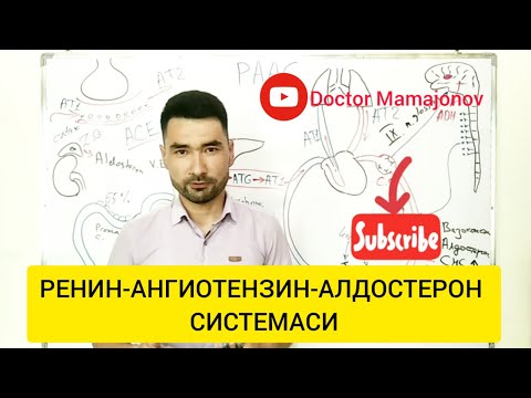 Видео: Ренин-Ангиотензин-Алдостерон системаси ҳақида умумий тушунча
