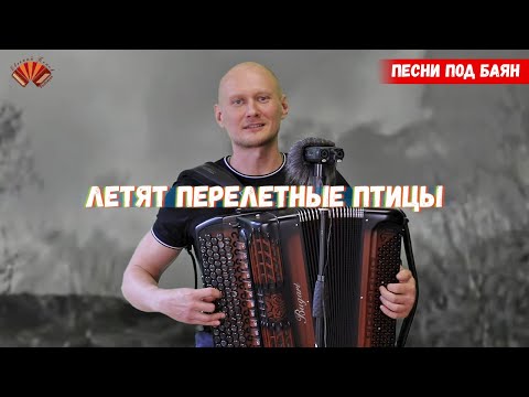 Видео: Летят перелетные птицы/ Баянист Евгений Попов