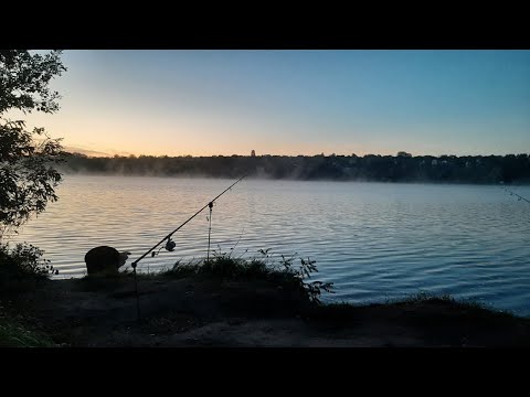 Видео: МЕГА Лящі та Сазани на флет на Дніпрі