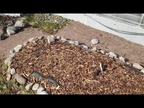 Видео: 3-Дача..Открытие сезона.. 2022..3 часть. 23.04.22.