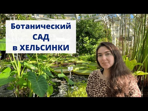 Видео: Прогулка по оранжереям БОТАНИЧЕСКОГО САДА города Хельсинки (Финляндия)