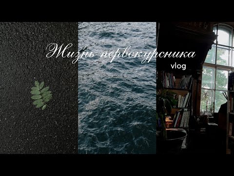 Видео: vlog | учусь на искусствоведа, живу в общежитии, хожу в секонды