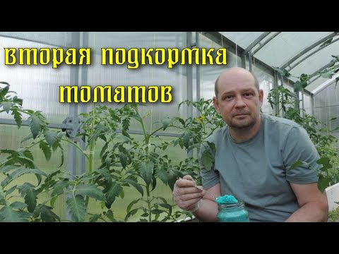 Видео: Вторая подкормка томатов комплексным удобрением